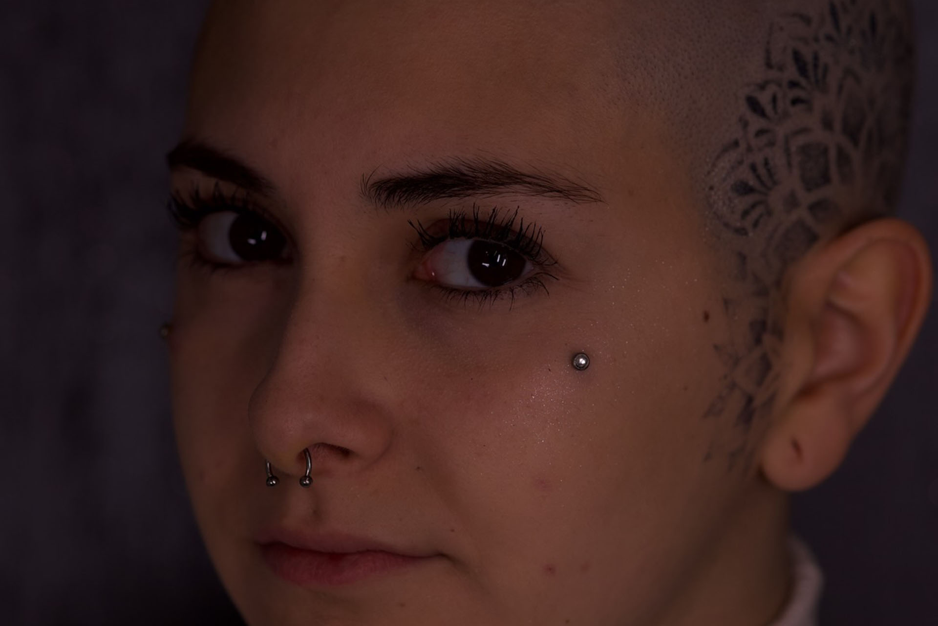 Damas septum